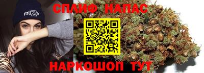 гидра Севастополь
