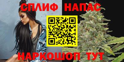 гидра Севастополь
