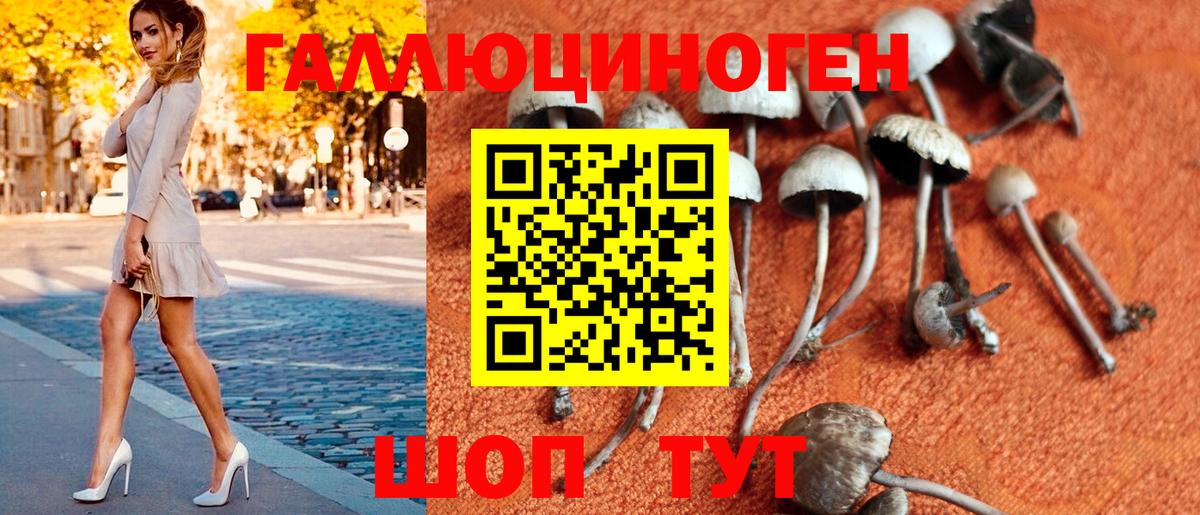 Галлюциногенные грибы GOLDEN TEACHER Лесной